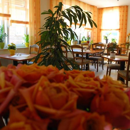Hotel Am Pan Emmerich Εξωτερικό φωτογραφία